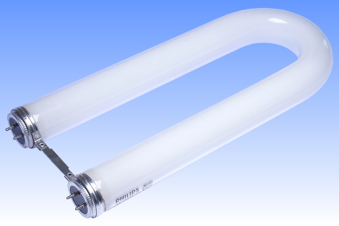 u shaped fluorescent bulbs