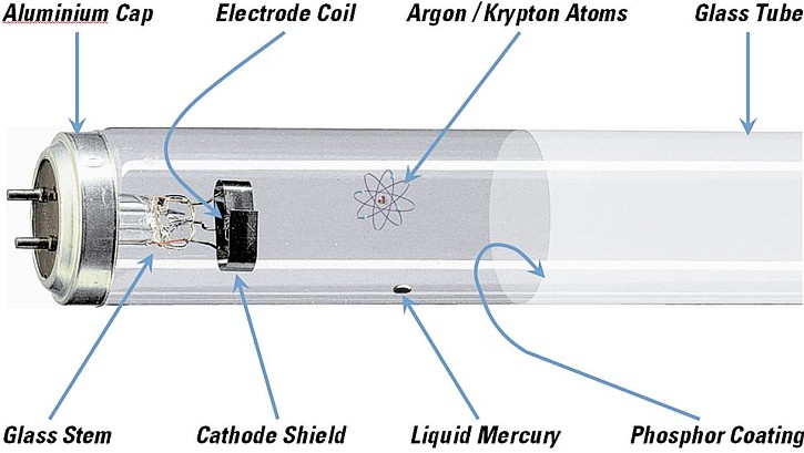 a fluorescent lamp